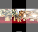 Small #20 Breeder Profile image