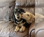 Small #37 Breeder Profile image