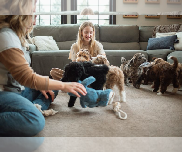 Medium Photo #38  Breeder Profile in SHIOCTON, WI, USA