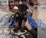 Small #3 Breeder Profile image