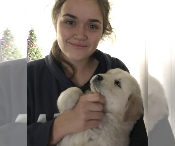 Medium Photo #39  Breeder Profile in HEMET, CA, USA