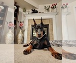 Small #4 Breeder Profile image