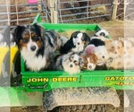 Small #1 Breeder Profile image