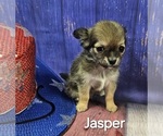 Small #9 Breeder Profile image