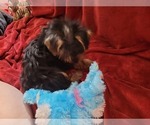 Small #127 Breeder Profile image