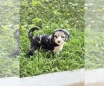 Small #5 Breeder Profile image
