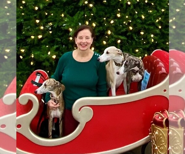 Medium Photo #30  Breeder Profile in COVENTRY, RI, USA