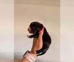 Small #11 Breeder Profile image