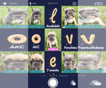 Small Photo #2  Breeder Profile in CANYON, TX, USA