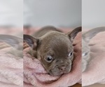 Small #11 Breeder Profile image