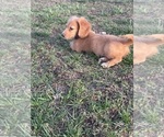 Small #4 Breeder Profile image
