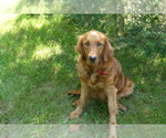 Small #2 Breeder Profile image