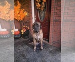 Small #1 Breeder Profile image