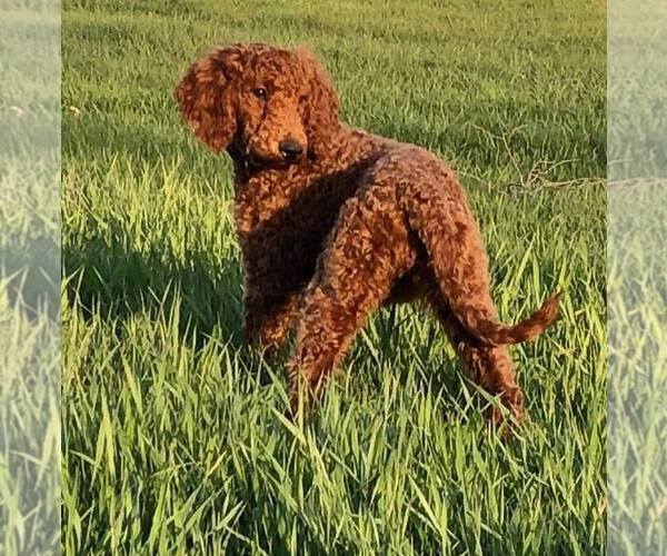 Medium Photo #1  Breeder Profile in HUNTINGTON, IN, USA