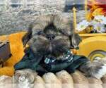 Small #10 Breeder Profile image