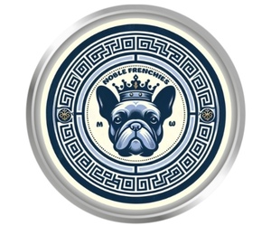 French Bulldog Dog Breeder near TOMBALL, TX, USA