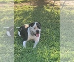 Small #10 Breeder Profile image
