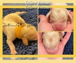 Small #6 Breeder Profile image