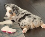Small #8 Breeder Profile image