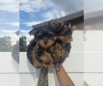 Small #2 Breeder Profile image