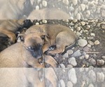 Small #5 Breeder Profile image