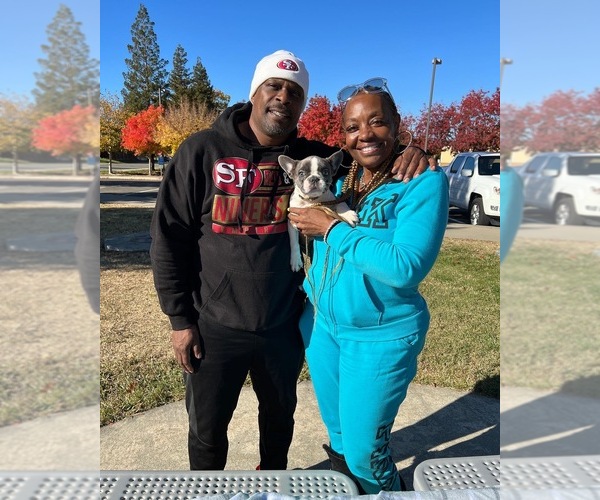 Medium Photo #5  Breeder Profile in SACRAMENTO, CA, USA