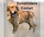 Small #26 Breeder Profile image