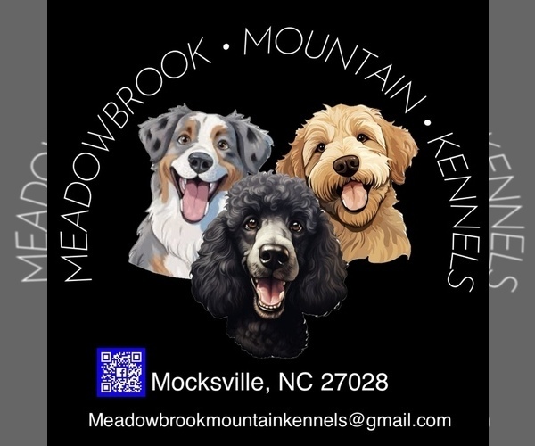 Medium Photo #1  Breeder Profile in MOCKSVILLE, NC, USA