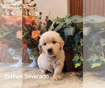 Small Photo #1  Breeder Profile in WATERFORD, PA, USA