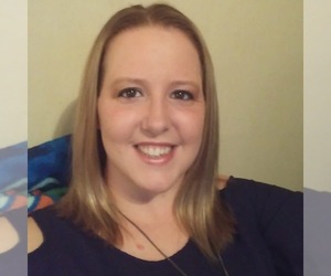 Dachshund Dog Breeder near OCALA, FL, USA