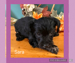 Small #3 Breeder Profile image