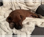 Small #9 Breeder Profile image