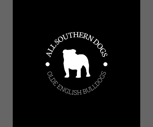 Medium Photo #1  Breeder Profile in MANSFIELD, GA, USA