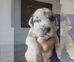 Small #6 Breeder Profile image