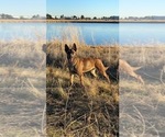 Small #3 Breeder Profile image