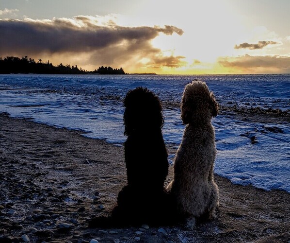 Medium Photo #1  Breeder Profile in HARBOR SPRINGS, MI, USA