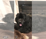 Small #67 Breeder Profile image