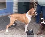 Small #7 Breeder Profile image