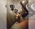 Small #1 Breeder Profile image