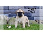 Small #10 Breeder Profile image