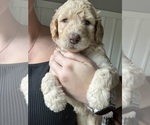 Small #4 Breeder Profile image