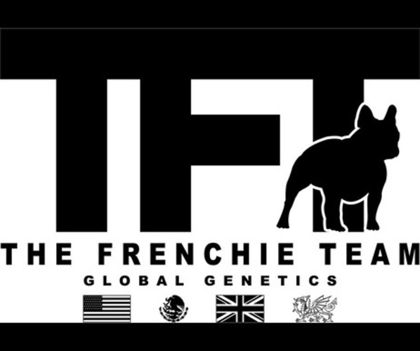 Medium Photo #1  Breeder Profile in RANCHO CUCAMONGA, CA, USA