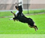 Small #6 Breeder Profile image