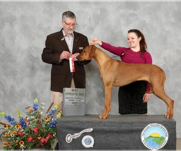 Medium Photo #16  Breeder Profile in CALDWELL, TX, USA