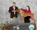 Small #15 Breeder Profile image