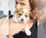 Small #11 Breeder Profile image