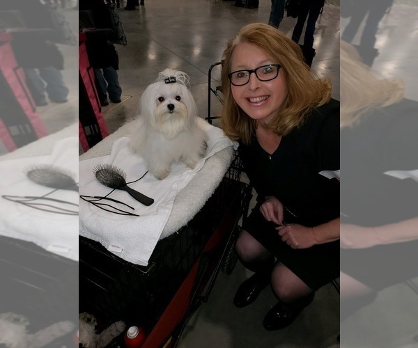 Medium Photo #11  Breeder Profile in WILSON, NY, USA