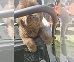 Small #15 Breeder Profile image