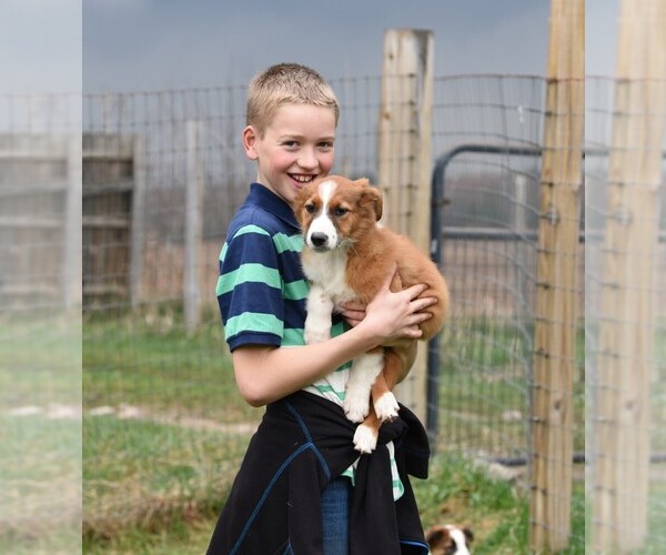 Medium Photo #32  Breeder Profile in PARIS, MI, USA