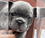 Small #5 Breeder Profile image